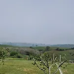 Vinas