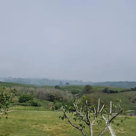 Viñas